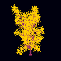 greenshift tree