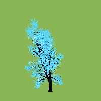 greenshift tree