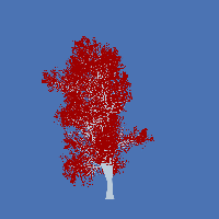 greenshift tree