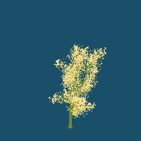 greenshift tree