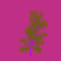 greenshift tree