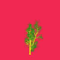 greenshift tree