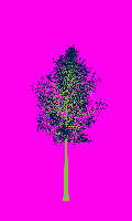 greenshift tree