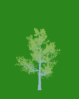 greenshift tree