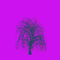 greenshift tree
