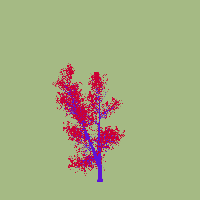 greenshift tree