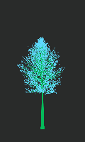 greenshift tree