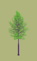greenshift tree