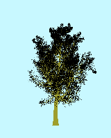 greenshift tree