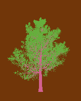 greenshift tree