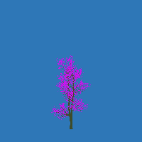 greenshift tree