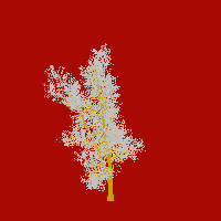 greenshift tree