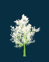 greenshift tree