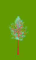greenshift tree