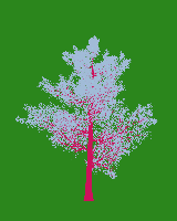 greenshift tree
