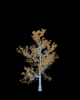 greenshift tree