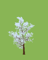greenshift tree