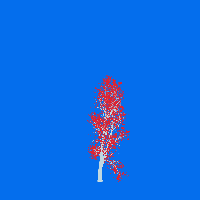 greenshift tree