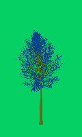 greenshift tree