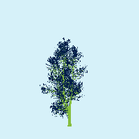 greenshift tree