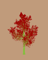 greenshift tree