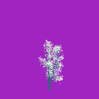 greenshift tree