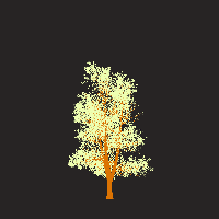 greenshift tree
