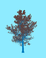 greenshift tree