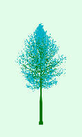 greenshift tree