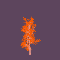 greenshift tree