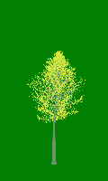 greenshift tree
