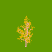 greenshift tree