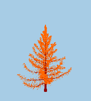 greenshift tree