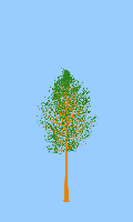 greenshift tree