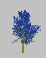 greenshift tree