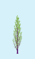 greenshift tree