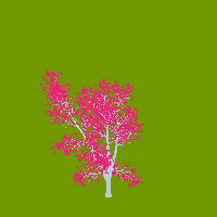 greenshift tree