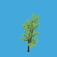 greenshift tree