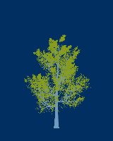 greenshift tree