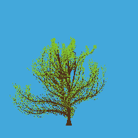 greenshift tree