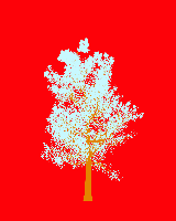 greenshift tree