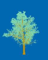 greenshift tree