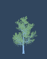 greenshift tree