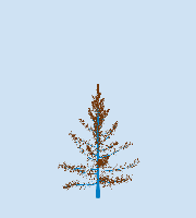 greenshift tree