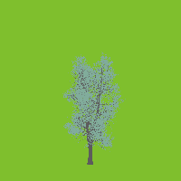 greenshift tree