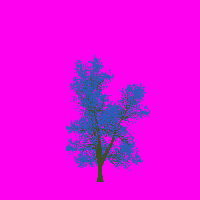greenshift tree