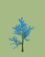 greenshift tree