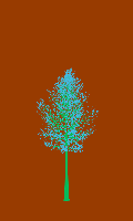greenshift tree