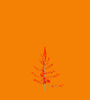greenshift tree