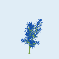 greenshift tree